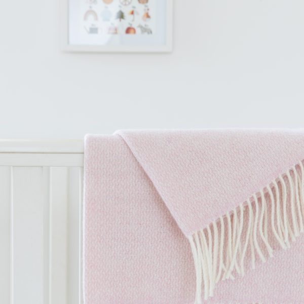 BB17 new 2 BB17 new 2