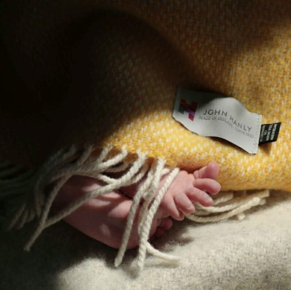 BB18-v3jpg BB18-v3jpg