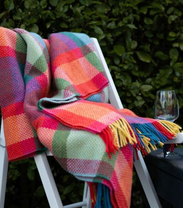 DSC00085-e1679302611231 DSC00085-e1679302611231