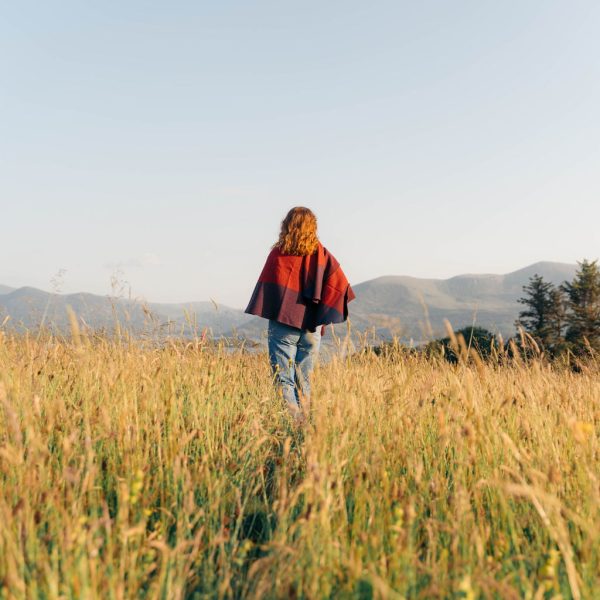 SUE-711-V12 SUE-711-V12