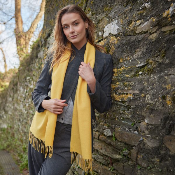 John Hanly Picture: Miki Barlok