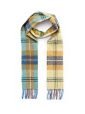 Irish Wool Scarf Long Citrus Blue Brown Plaid