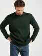 B782_MoycullenRollNeckSweater_Mens_Merino_MossGreen