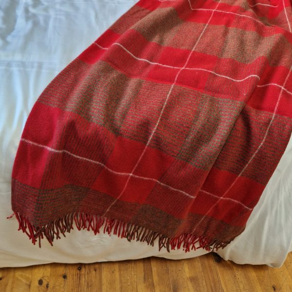 20241008_154539 20241008_154539