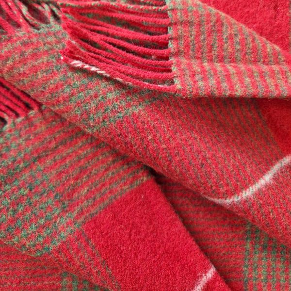 20241008_154913 20241008_154913