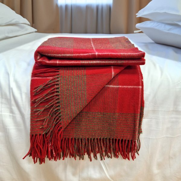 20241011_114425 20241011_114425