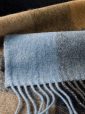 1919 Scarf Close