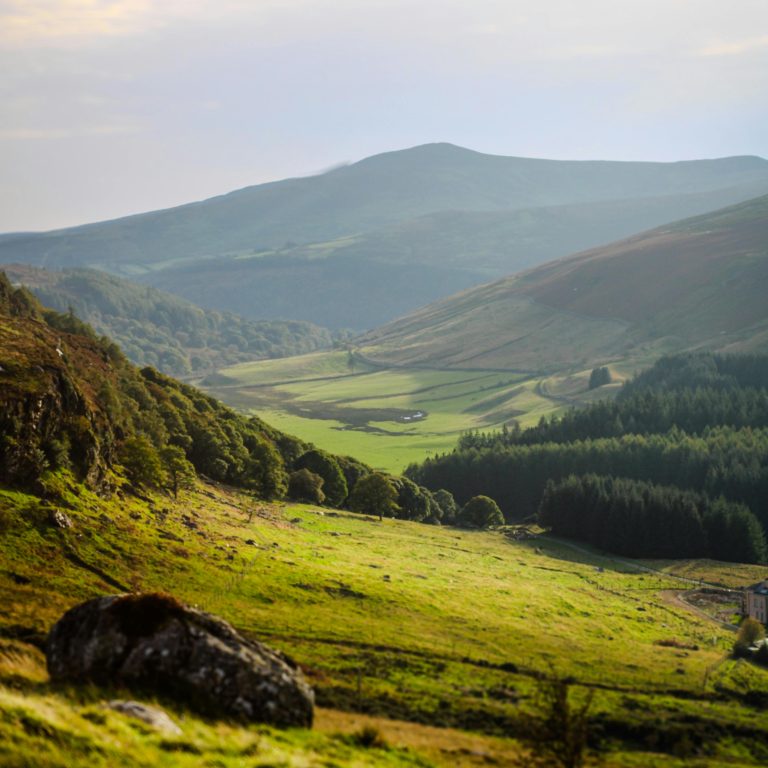 5 Things We Love About Ireland in Summer (and the John Hanly Pieces to Match)