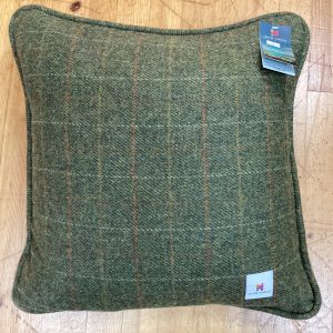 Ballyartella Cushion Green Brown Overcheck
