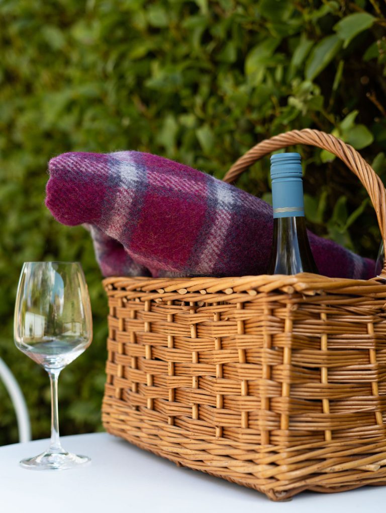 10 Beautiful Picnic Ideas for Spring & Summer